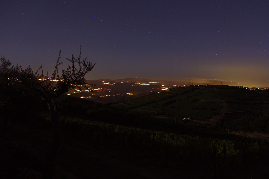 [- Osa Maior -] Canelas, Peso da Régua (Portugal)