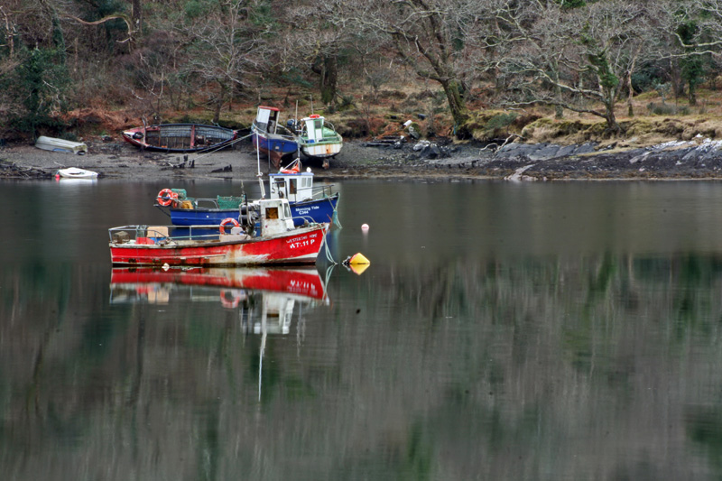 [- Reflejos -] Rosroe, Connemara (Irlanda)