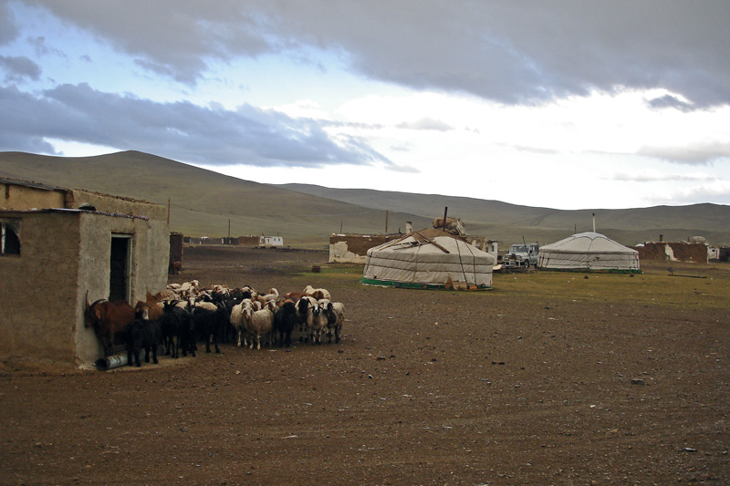 [- Resguardadas -] Frontera Rusia-Mongolia, Tsagaannuur (Mongolia)