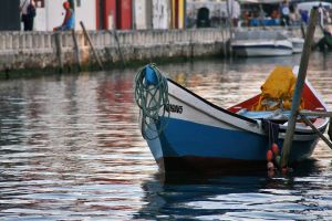 [- A pequena Venecia -] Aveiro (Portugal)