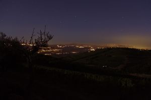 [- Osa Maior -] Canelas, Peso da Régua (Portugal)