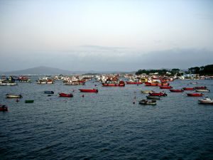 [- Amarrados no porto -] Illa de Arousa, Galiza (España)