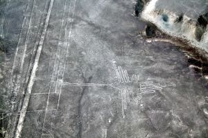 [- Colibrí -] Pampas de Jumana, desierto de Nazca (Perú)