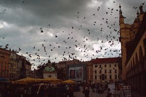 Krakow (Polonia)