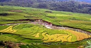 [- Arrozales -] Sa Pa (Vietnam)