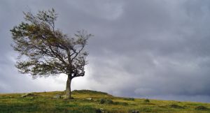 [- Viento Antártico -] Ushuaia, Tierra de Fuego, Patagonia (Argentina)